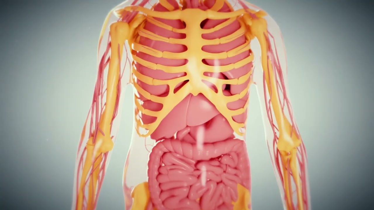What does Air Pollution PM 2.5 do inside children's body and brain?