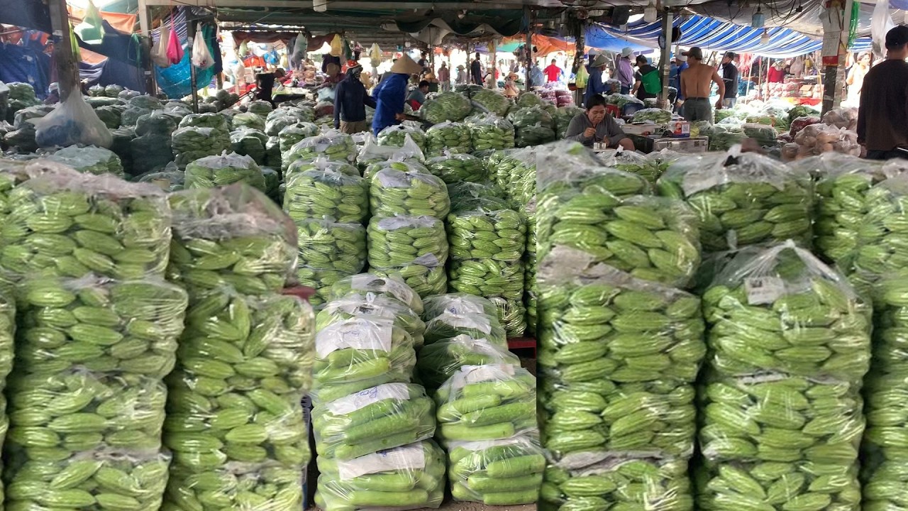 giá bán sỉ BẦU BÍ,DƯA LEO,KHỔ QUA,tại chợ đầu mối hóc môn,16/3/2026