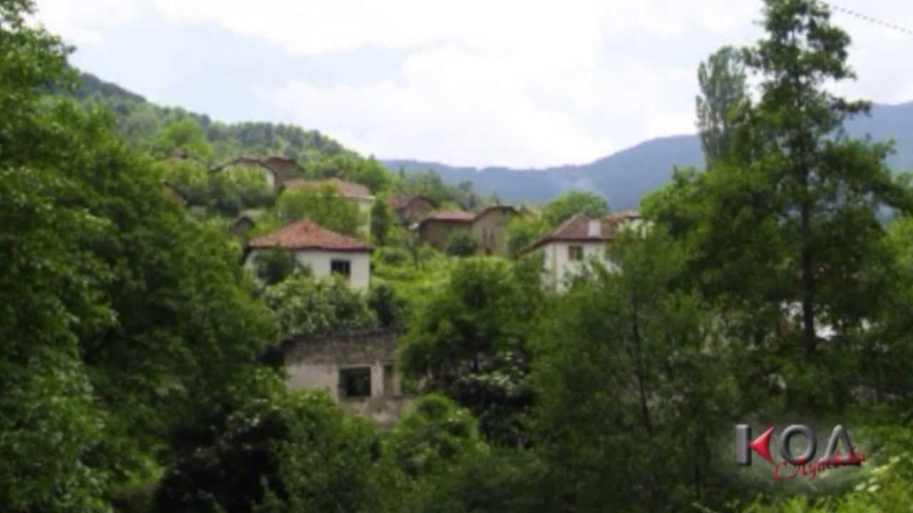 KOD: ORESHE - PLATENO UBISTVO ILI PLATENI SUDII? 11_07_2013