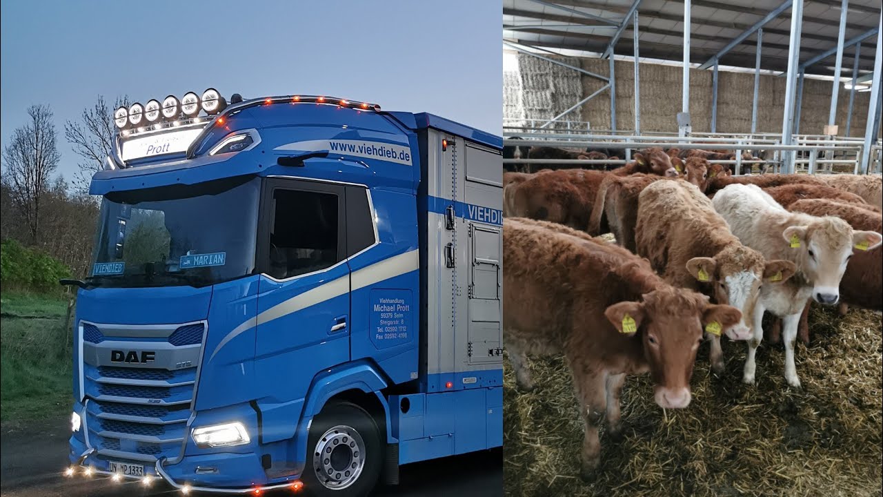 🤠Ladung in Holstein für NRW 🤠