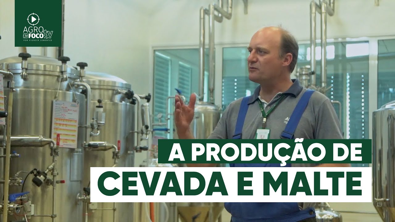 Do campo ao copo: produção de cevada e malte - Programa #56 - Agro Em Foco TV Digital