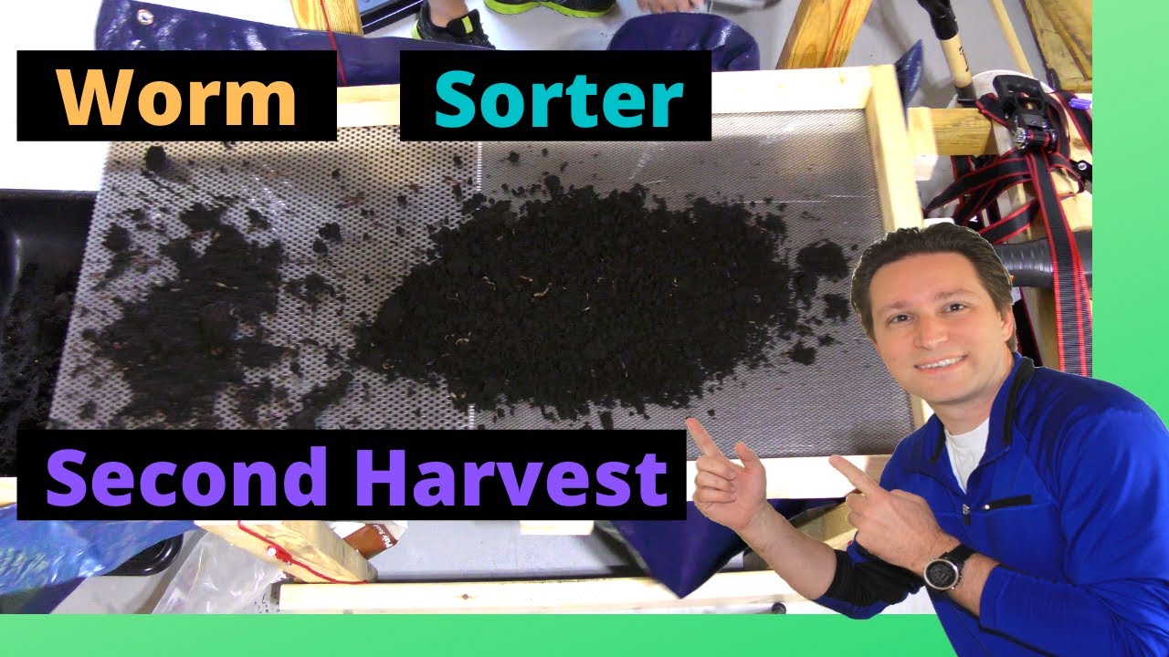 DIY Worm Sorter 2nd Test Harvesting Worm Castings/Vermicompost