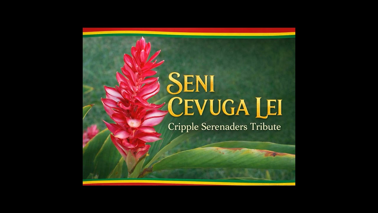 Senicevuga Lei (Cover) - Island reggae