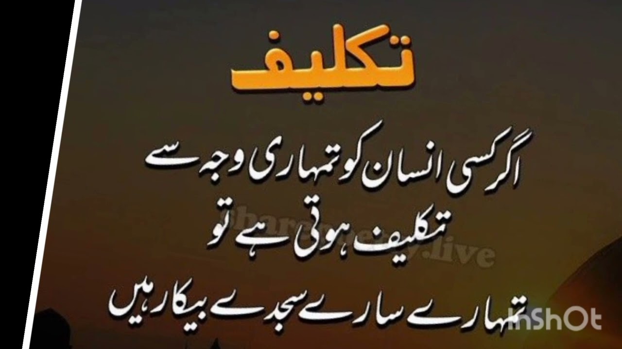 Islamic motivational quotes#I love Allah#Islamic quotes#Pakistan#India