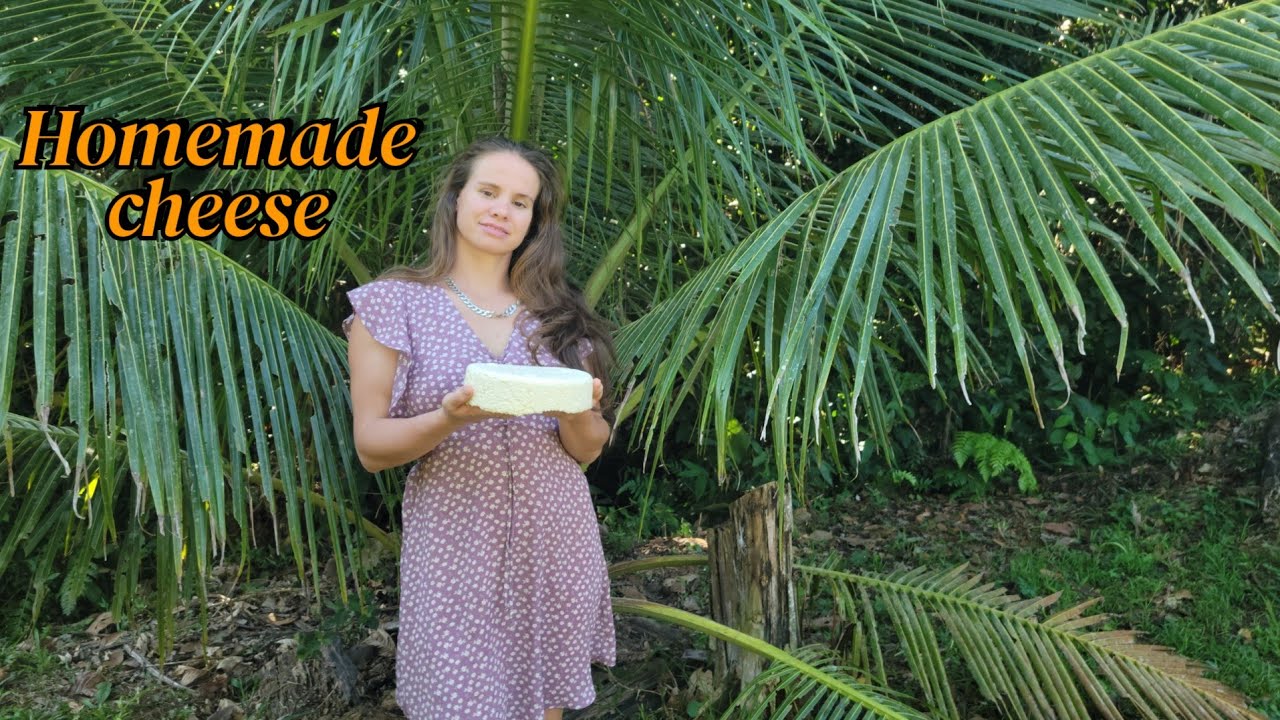 Homemade Cheese | Traditional Jungle Milking & Homemade Cheese Making 🐄🧀