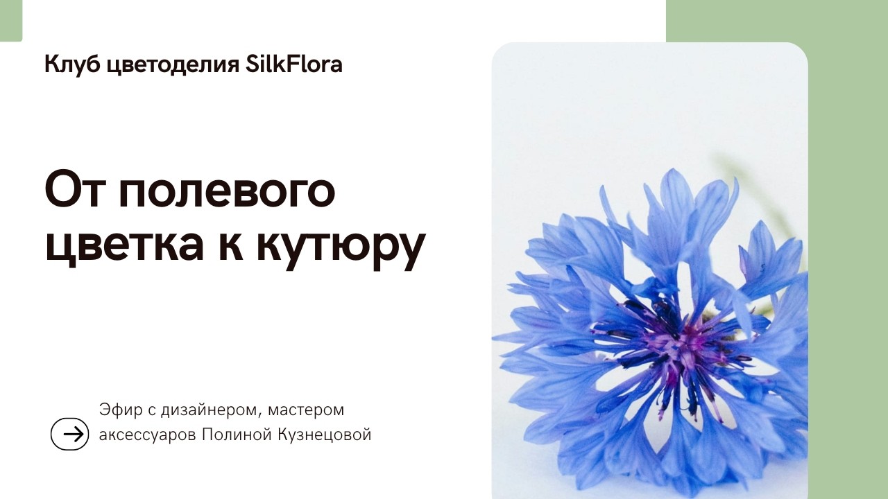 Полевые цветы в кутюре: маки, ромашки и васильки в цветоделии и вышивке
