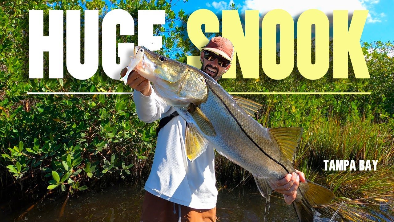 Snook & Tarpon SMASH 4
