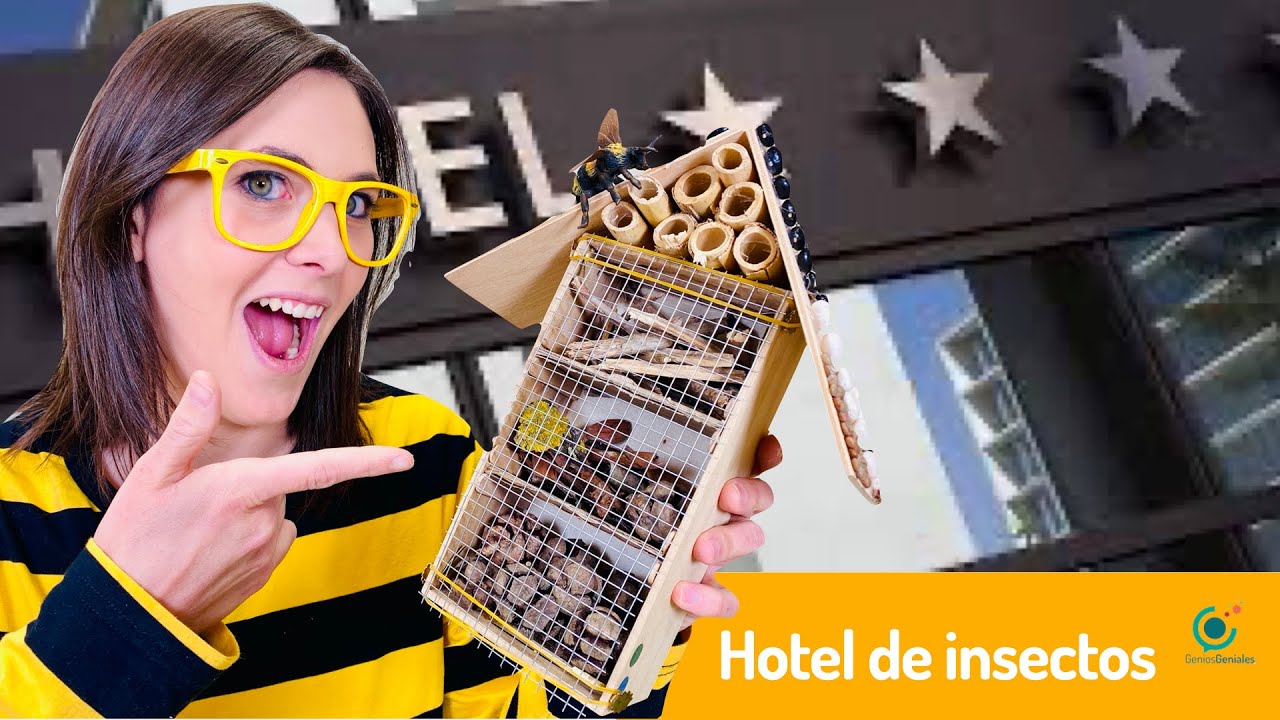 Hotel de insectos 2/5