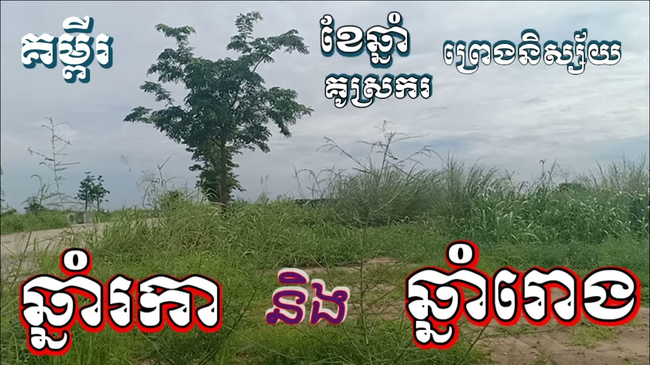 គម្ពីរ ខែឆ្នាំ គូស្រករ ព្រេងនិស្ស័យ ឆ្នាំរកា និង ឆ្នាំរោង ចង់បានជាប្ដីជាប្រពន្ធ ហ្នឹង ជាគូរអនាគត