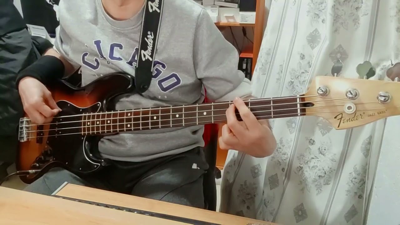 Bass cover 