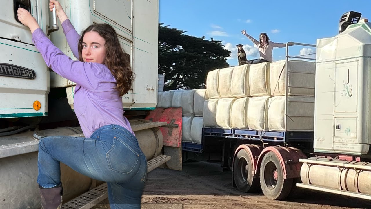 Having Bales of Fun 🙃 Australian Sheep Farm Vlog