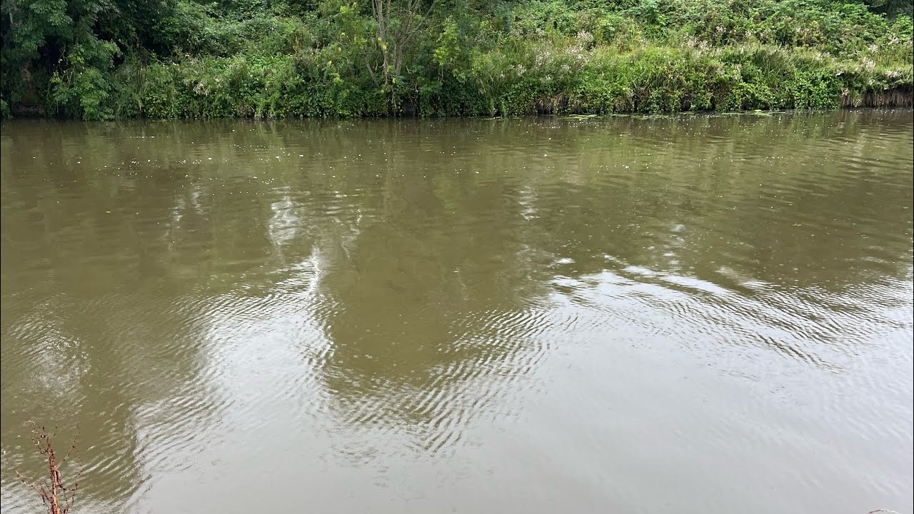 Feeder national championship on the Gloucester canal