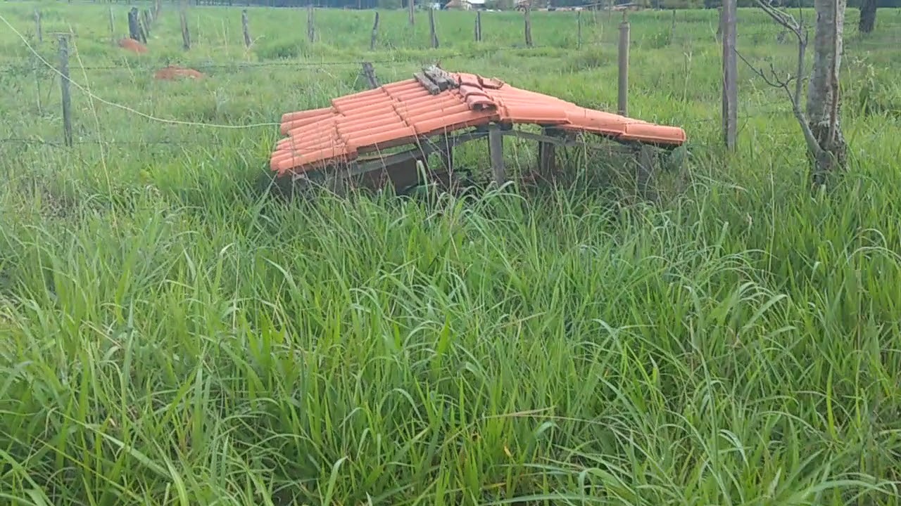Chácara de 01 Alqueire e 48 litros na região de Caldazinha Goias 370.000 Urgente