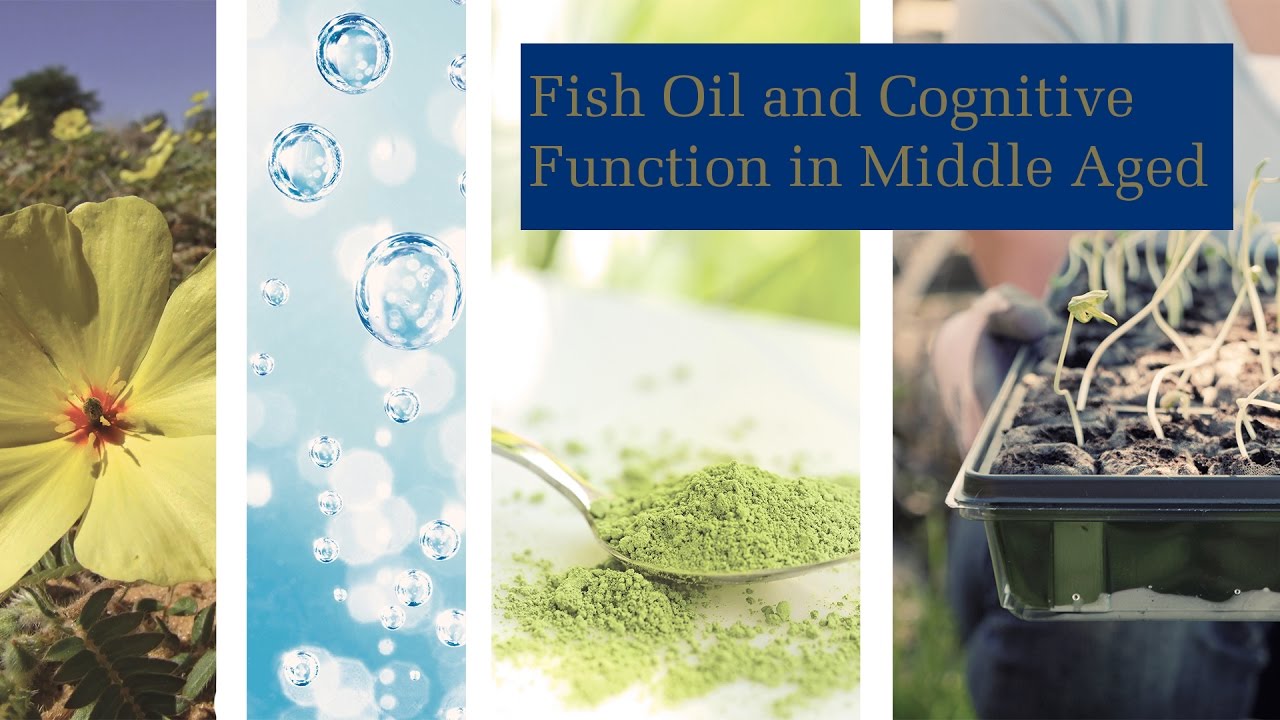 Fish Oil and Cognitive Function in Middle Aged