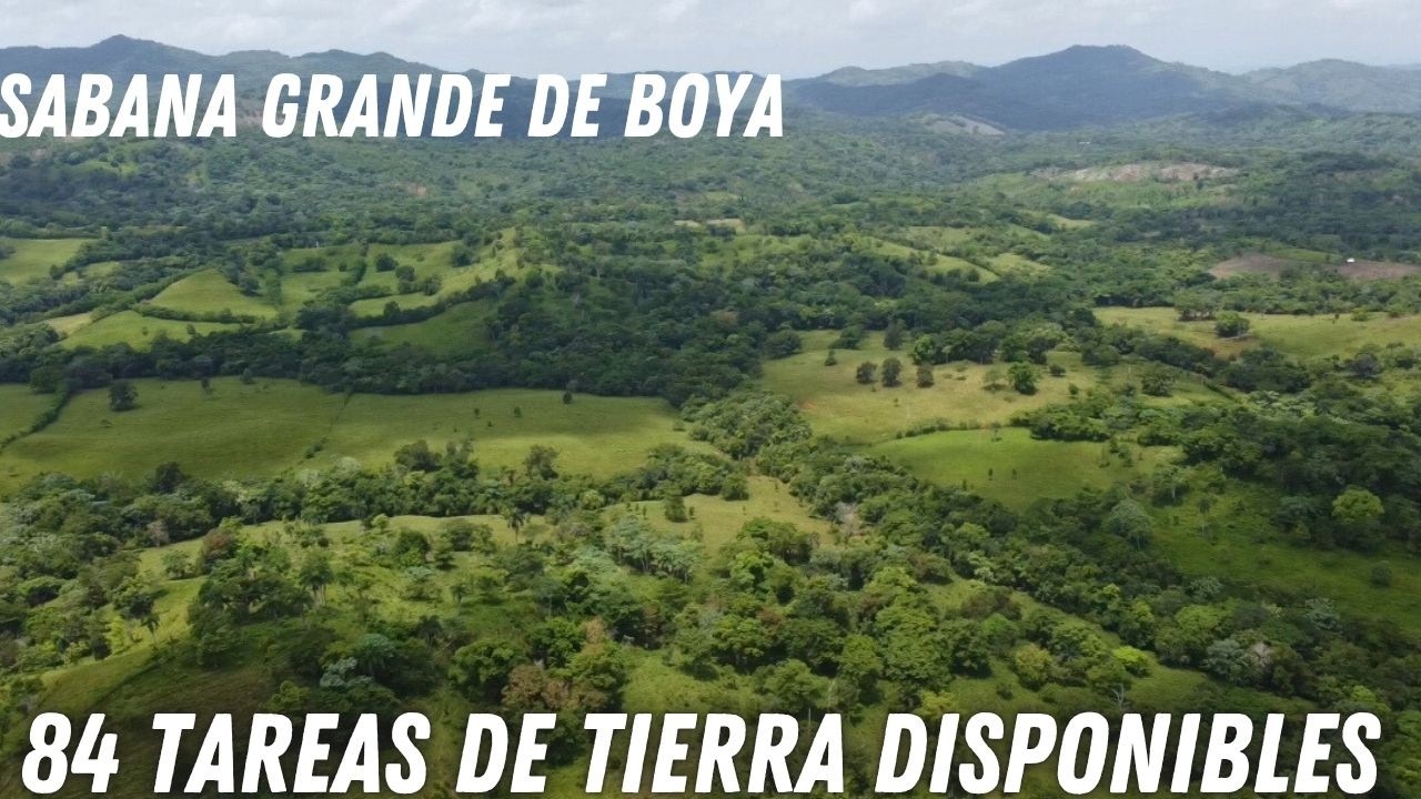 Venta de  84 tareas en sabana grande de boya      de Tierra en Monte Plata - Republica Dominicana