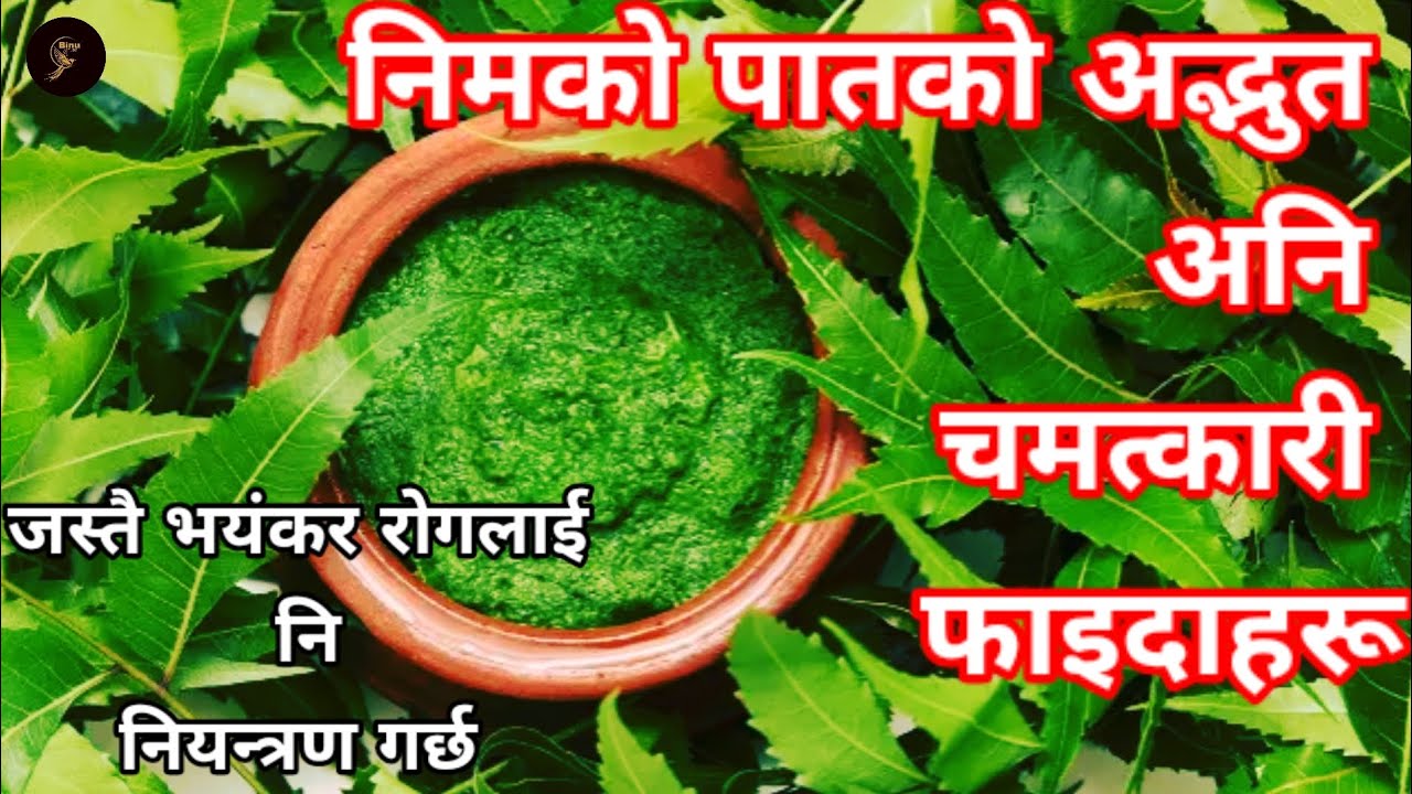 neem benefit | Amazing benefits of neem leaves | Benefits of neem | Neem leaves