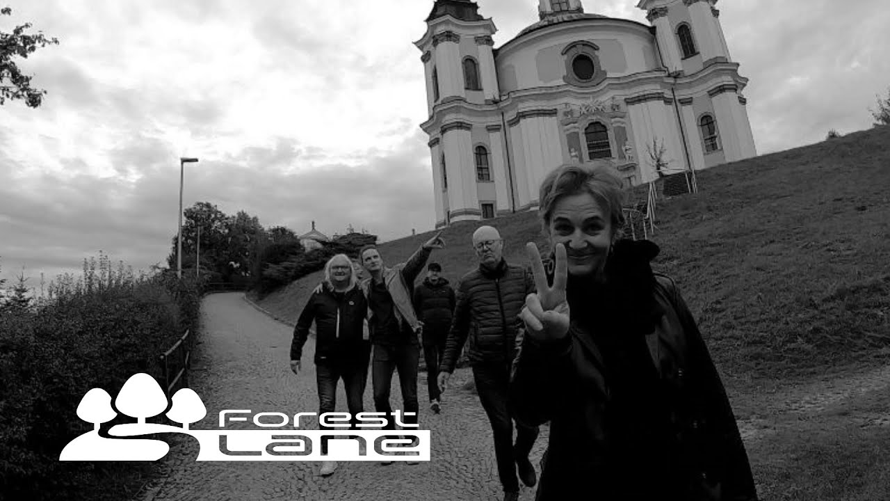 Forest Lane - Wir fangen an