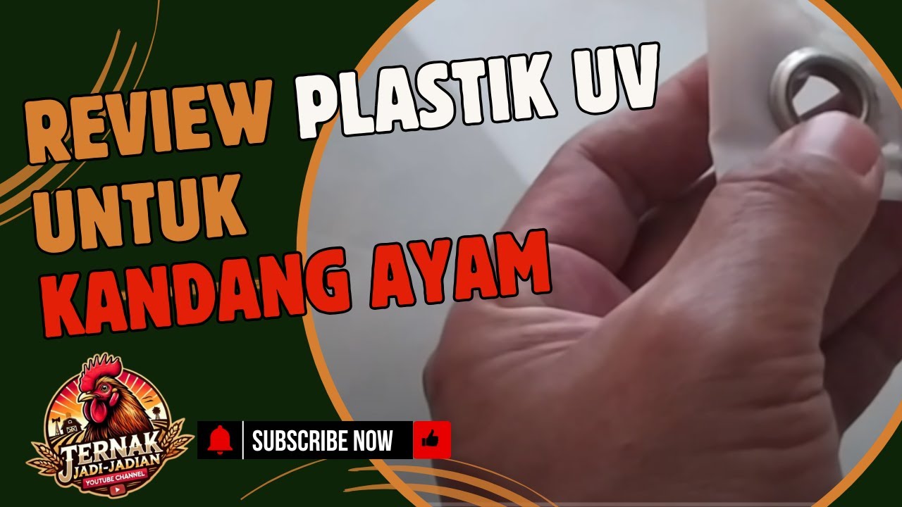 #25 REVIEW PLASTIK UV UNTUK KANDANG AYAM