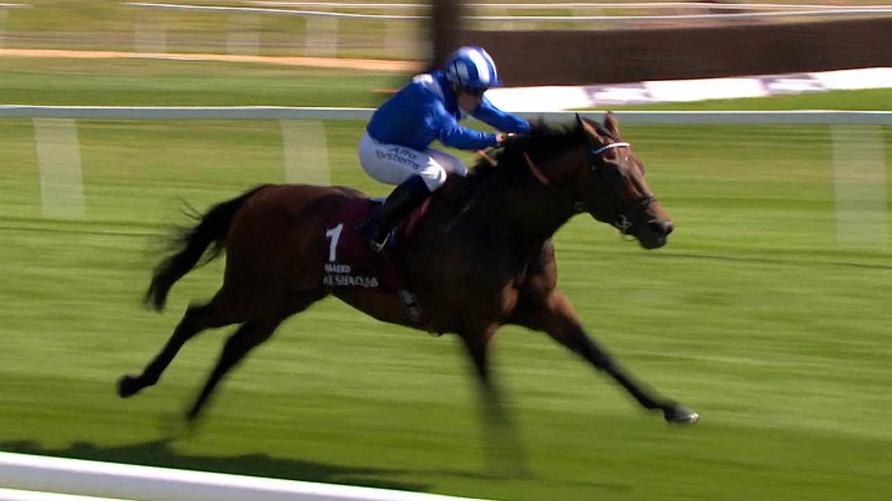 Superstar! Brilliant BAAEED makes it seven from seven with success in the 2022 Group 1 Lockinge