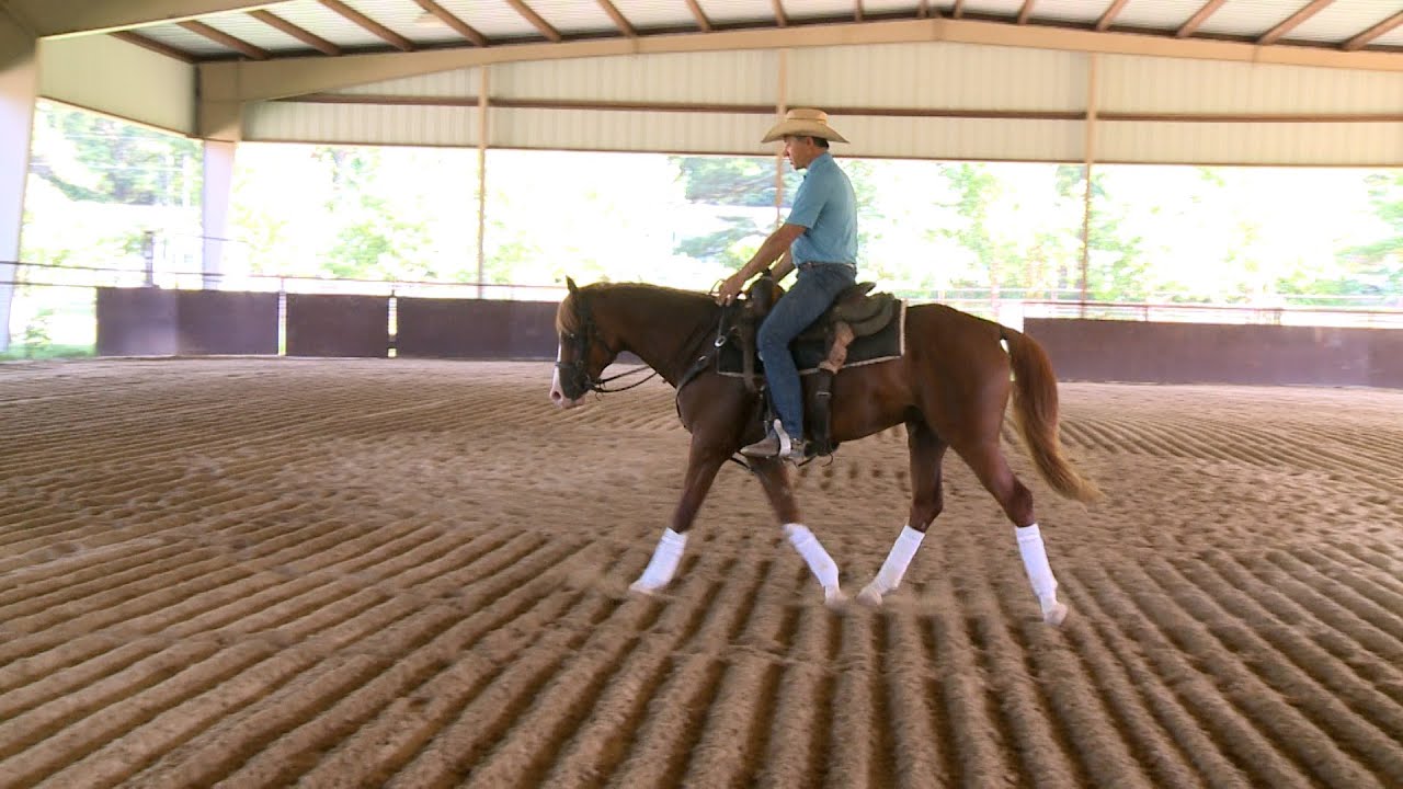 Framing The Horse