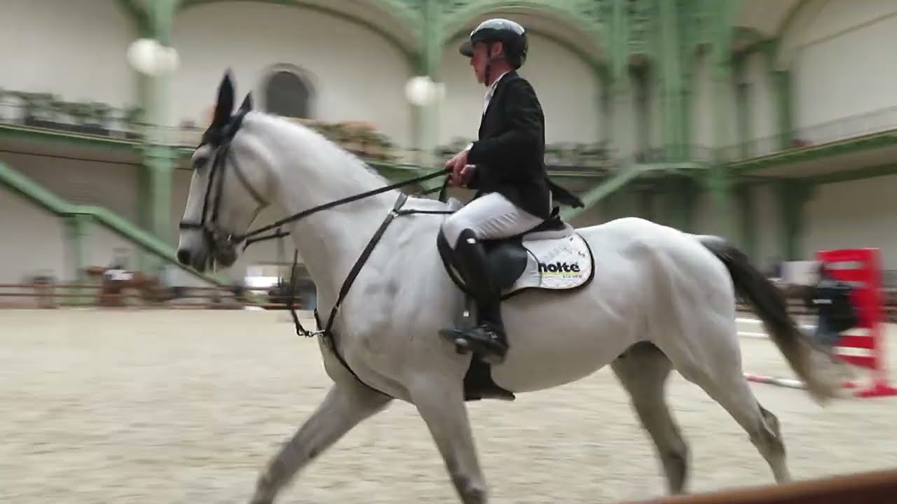 Short paddock Marcus Ehning Saut Hermès 2025