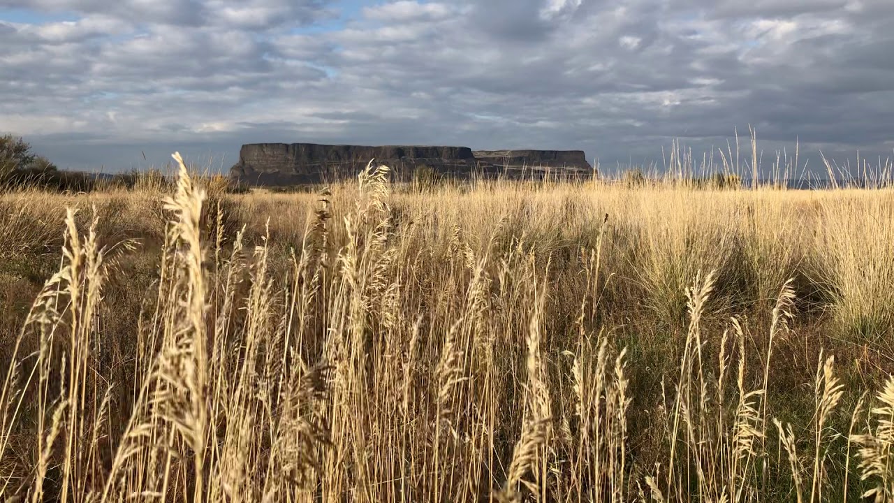 steamboat rock  bunchgrass
