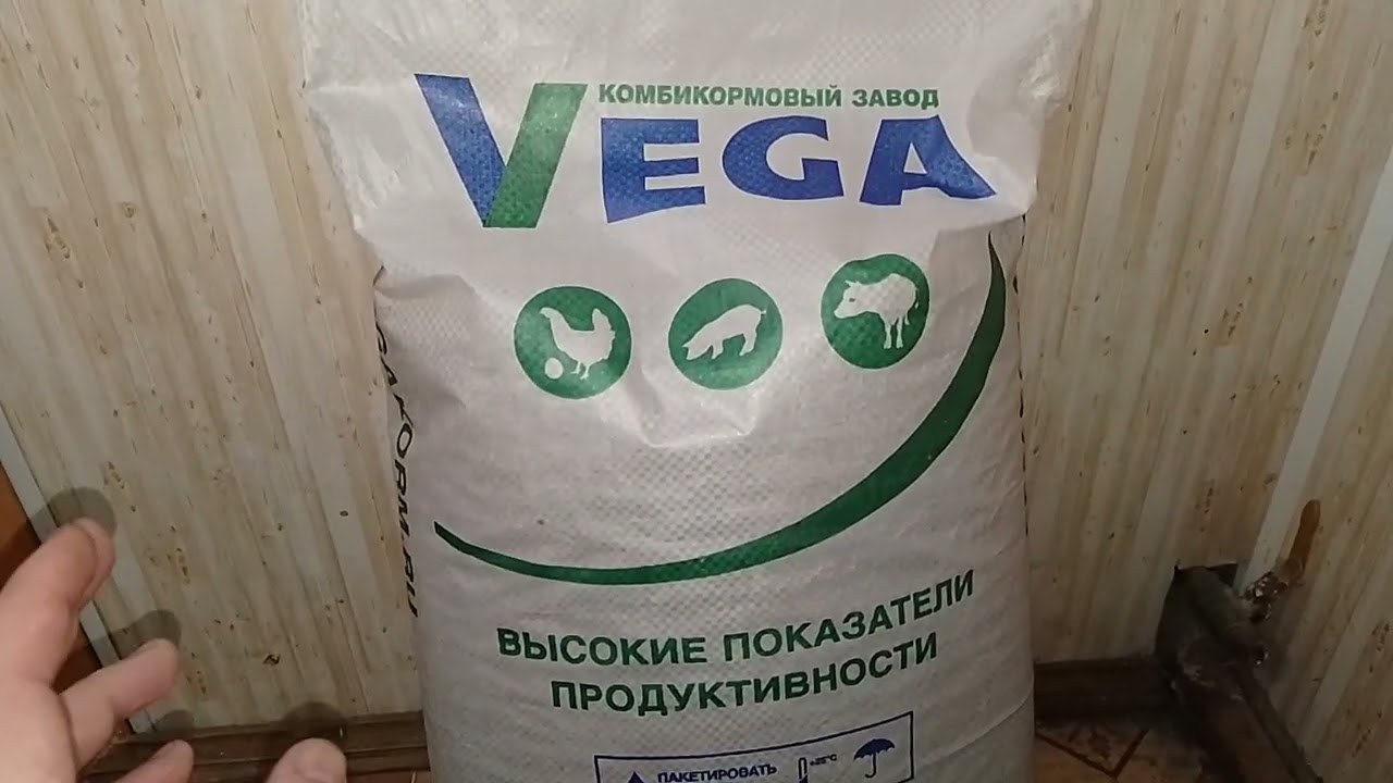22 февраля, пополнение в хозяйстве 
