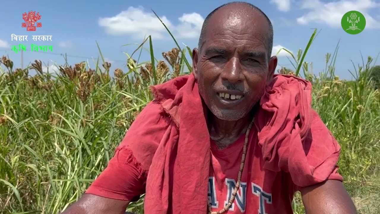 मडुआ (रागी) की खेती से किसानों की बढ़ रही आमदनी | जानिए पूरी जानकारी | #biharagriculture #farming