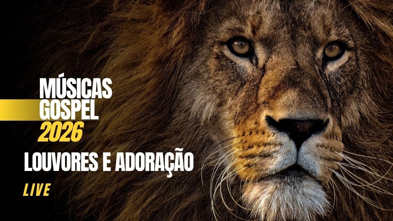 Louvores e Adoração | Músicas Gospel (Live)