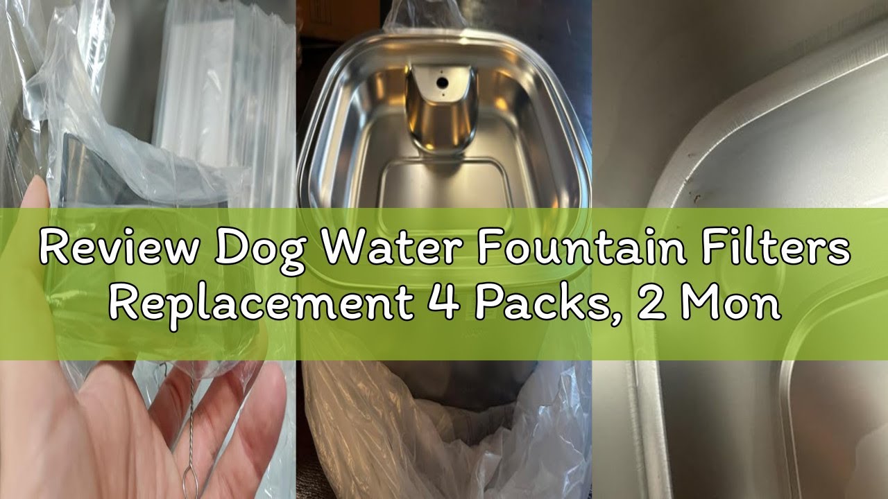 Review Dog Water Fountain Filters Replacement 4 Packs, 2 Months Set of Replacement Filter with 2 Spo