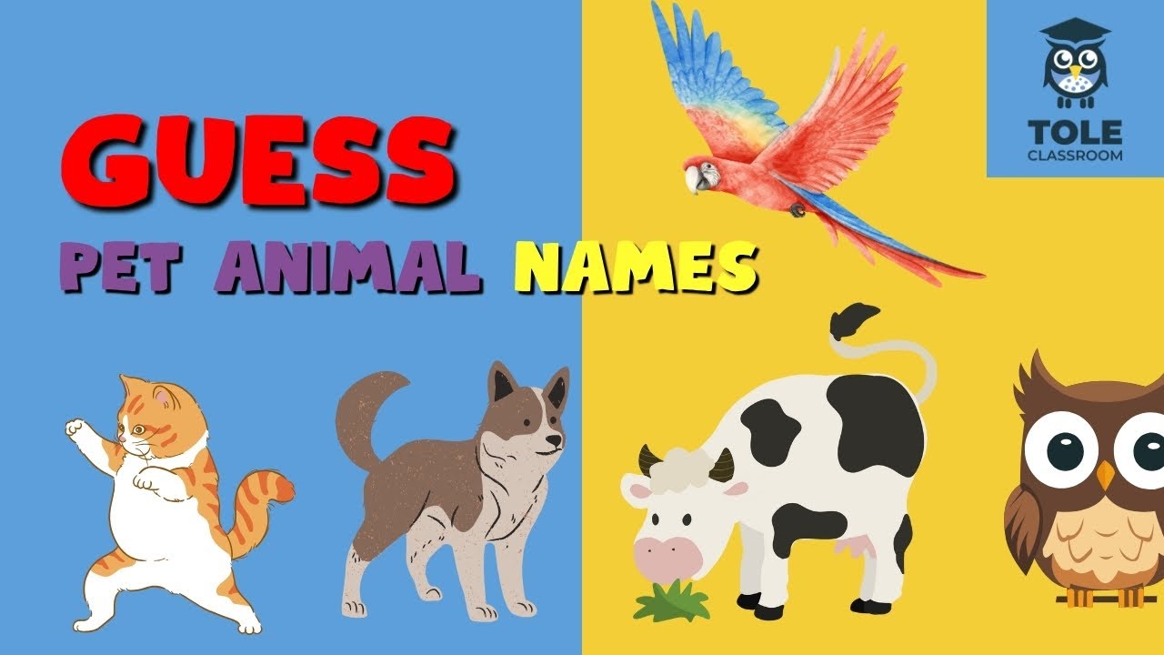 Learn English with Insects: 20 Pet Animal Names and Their Vocabulary