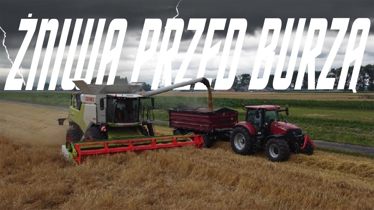 ŻNIWA PRZED BURZĄ -  NOWY NABYTEK, CLAAS TRION 650 ★UR BERLAK & GR RATAJCZAK★