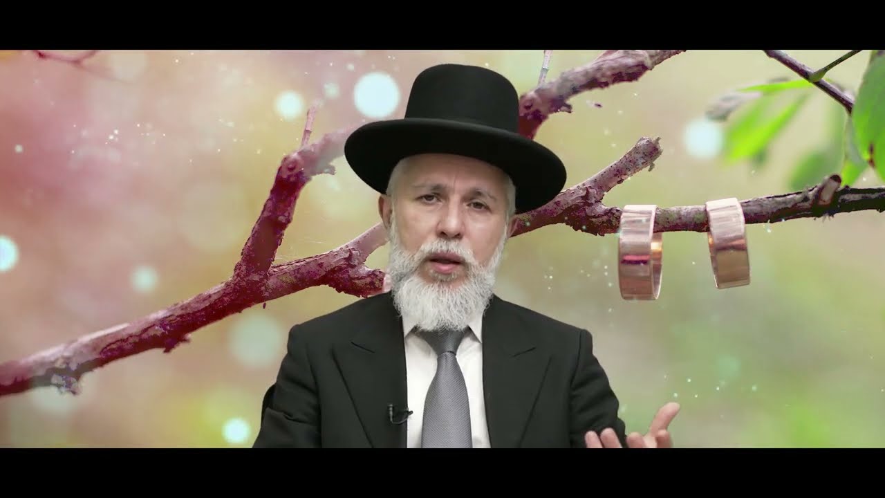 Pourquoi faut-il se marier rapidement  ? -  Rav Zamir Cohen