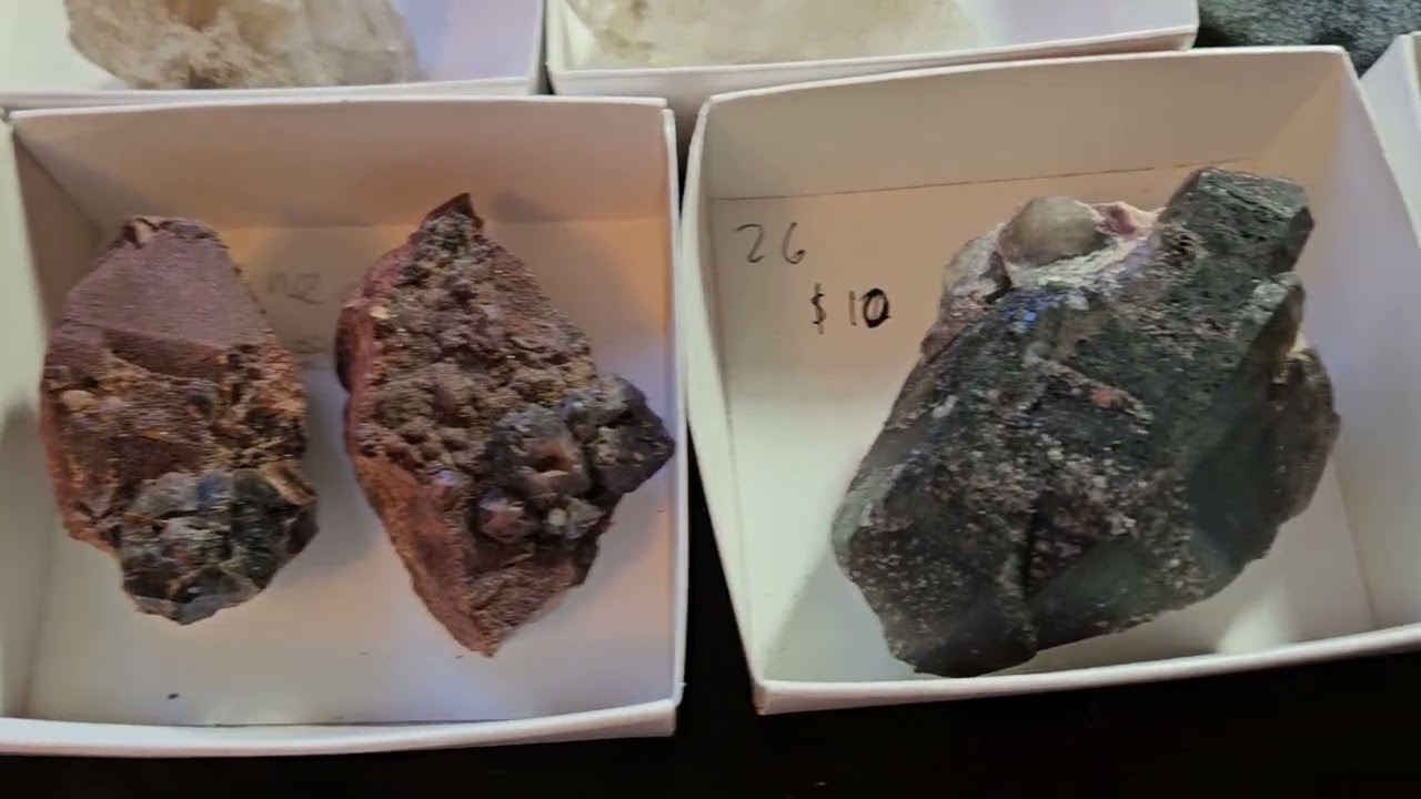 Mineral Sale winter '26