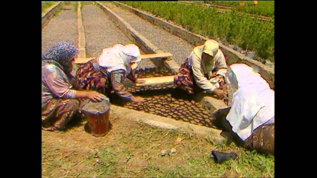 TRT Belgeseli 1998   B&ouml;l&uuml;m:1 1 Erozyon nasıl &ouml;nlenir