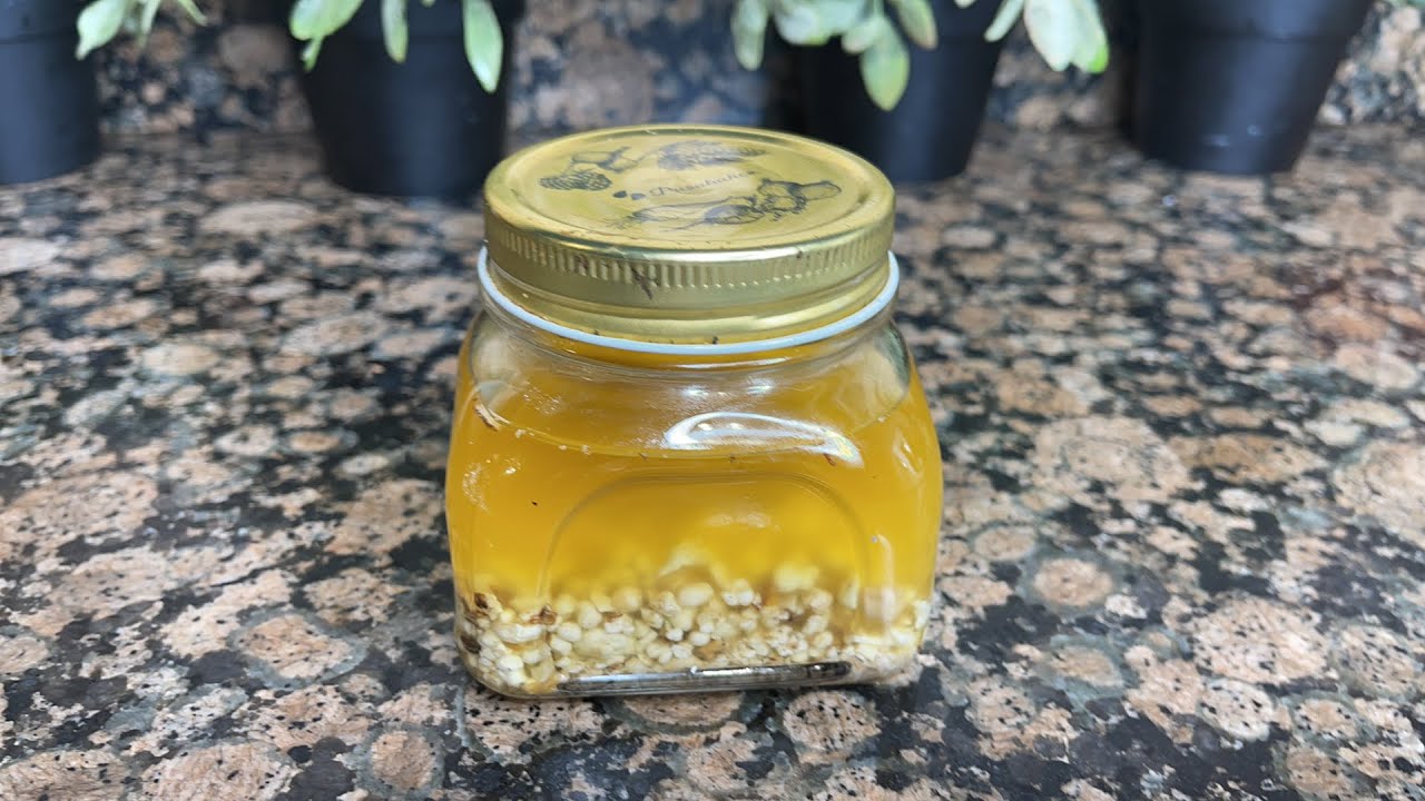 طريقة صنع خلاصة لبان الدكر