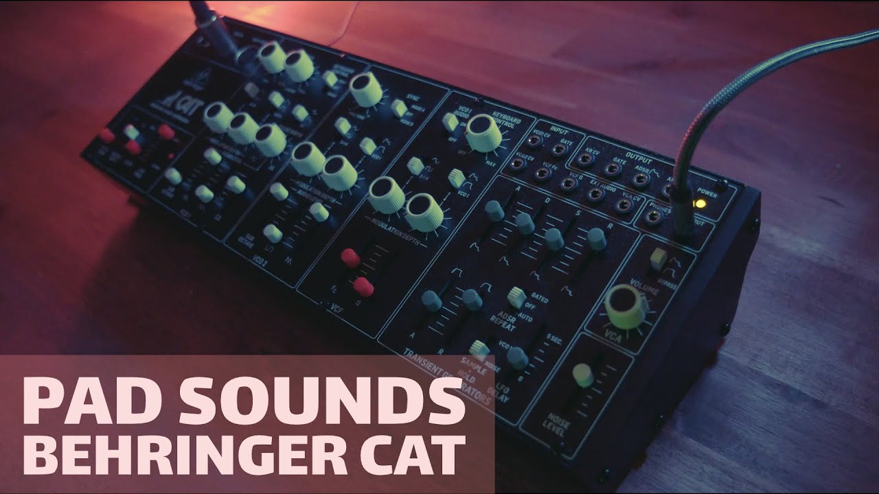 Behringer Cat - Pad Sound Exploration