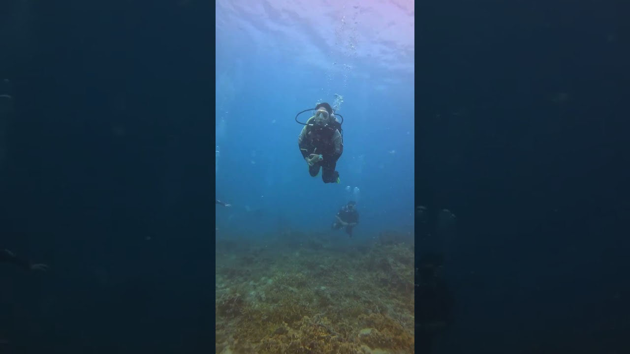 #scubadiving