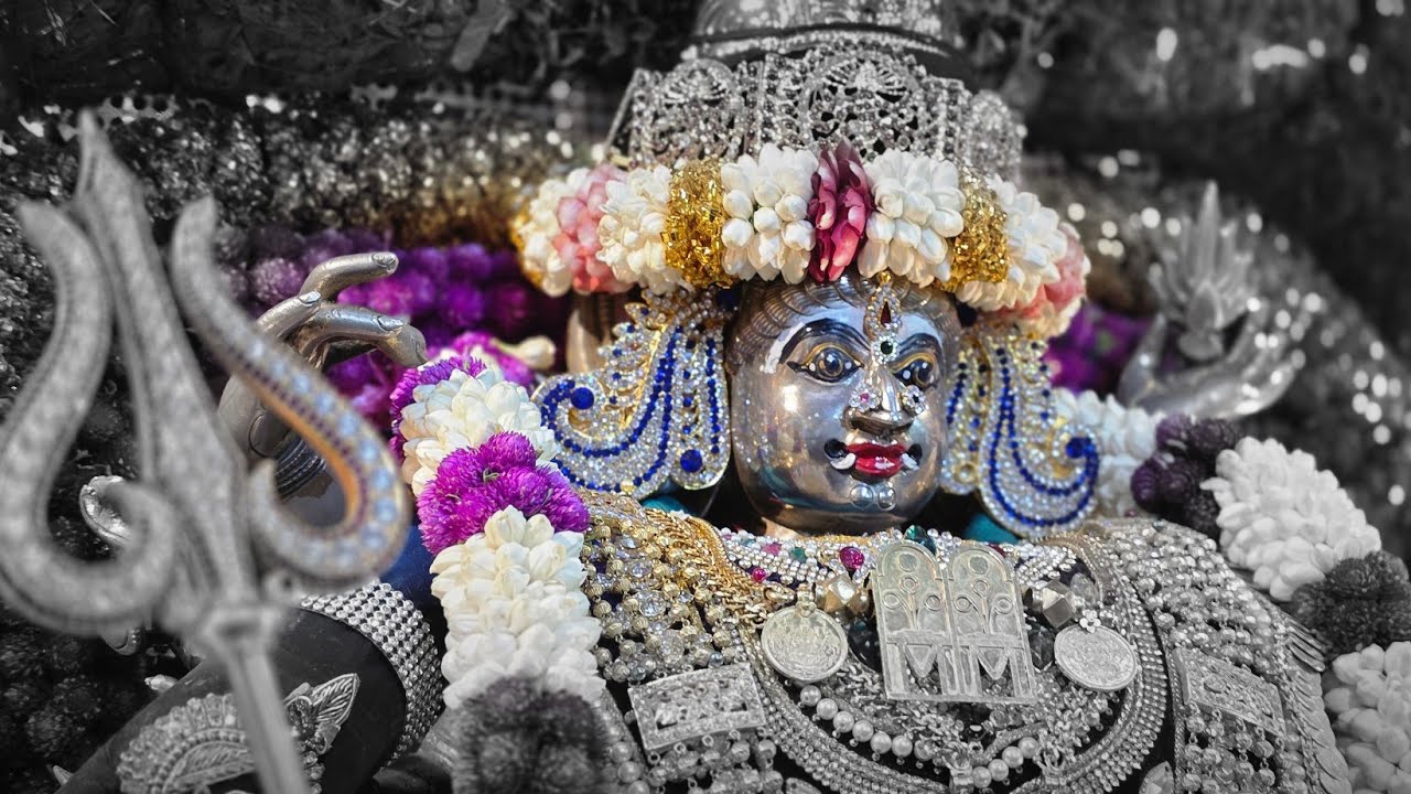 ஆடி கடைசி வெள்ளி அம்மன் புறப்பாடு | Sri Veeramakaliamman Temple Singapore ##singapore #aadi #god 