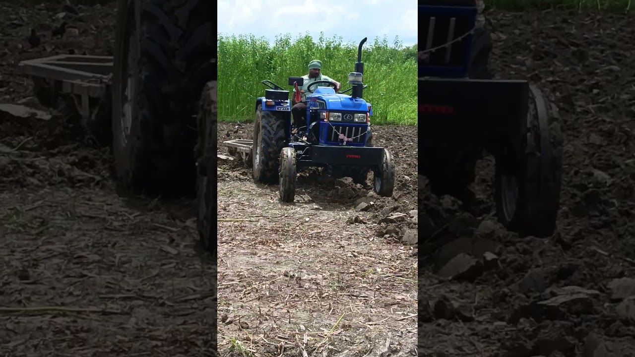 tractor # shorts 