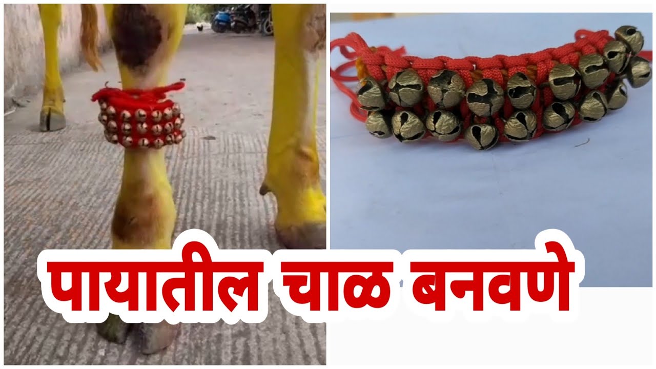 बैलाच्या पायातील चाळ , बैलपोळा साठी