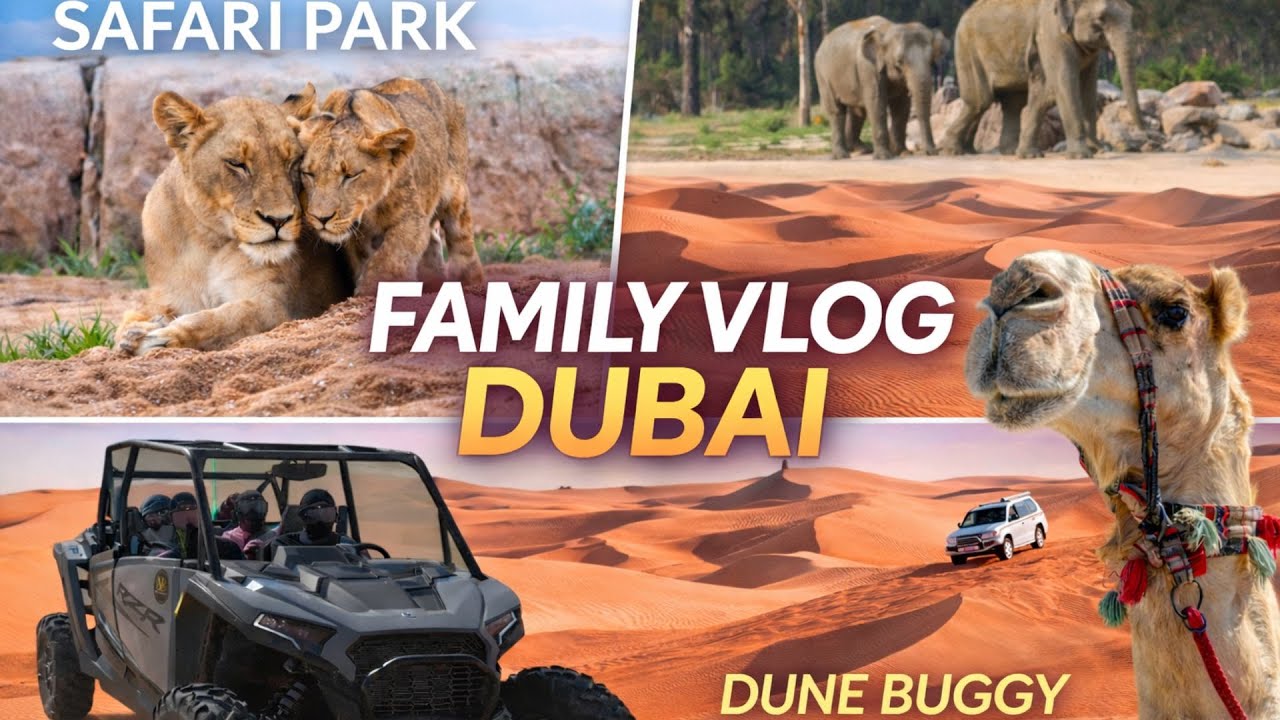 #10 Dubai Wüste I Buggy fahren & Kamele I Dubai Safari Park Family Vlog