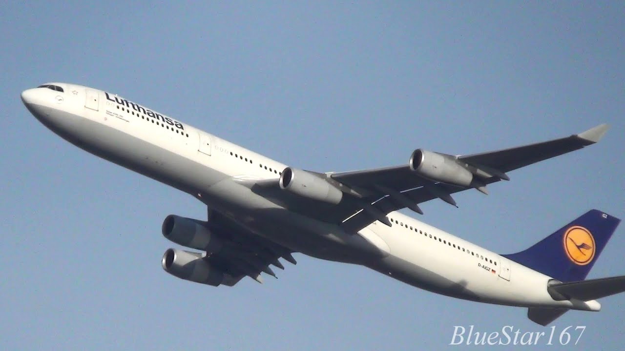 Lufthansa Airbus A340-300 (D-AIGZ) takeoff from FRA/EDDF (Frankfurt - am Main) RWY 25C