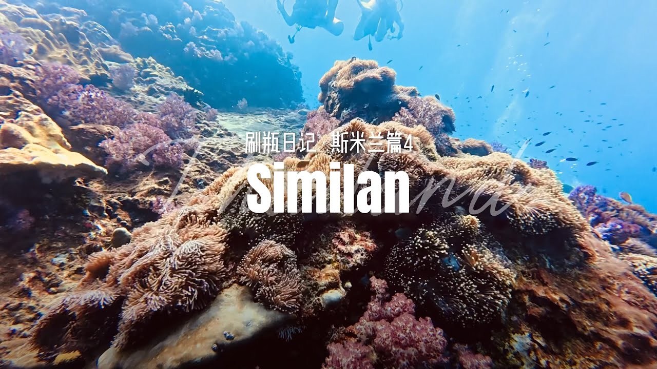 🤿｜Diving Diary • Similan 4