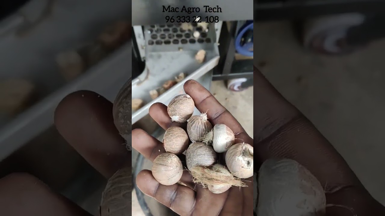 Kasaragod  Dry Arecanut peeling machine 9633322108