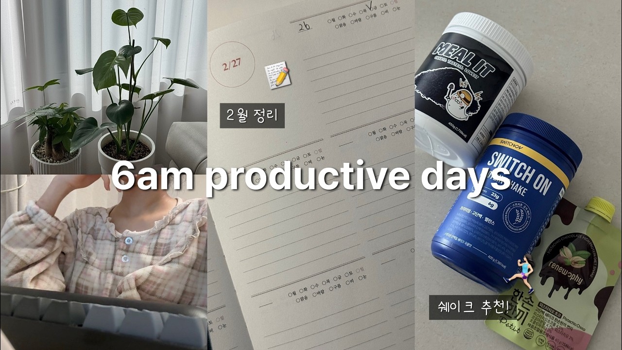 [vlog] 갓생 직장인 브이로그 | 2월 정산📝 | 세미 스위치온 다이어트(운동X)✨| 첫 주식 강의 듣는 하루