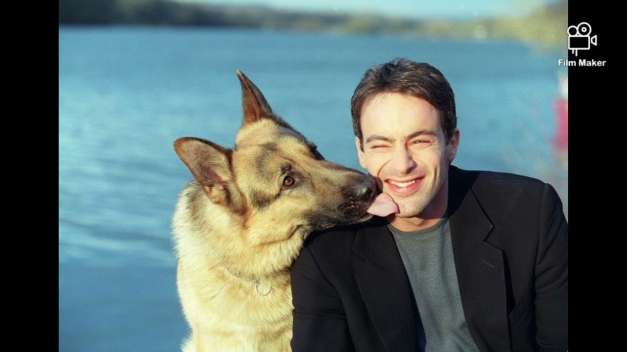 Alexander Brandtner and Rex