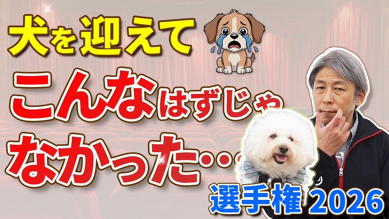 犬を迎えて「こんなはずじゃなかった…」アンケート結果を発表します【犬のしつけ】