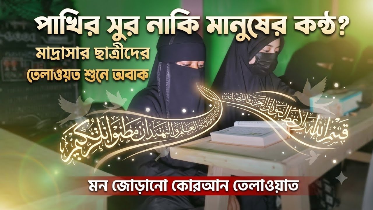 তেলাওয়াত শুনে কান্না চলে এসেছে। Quran Tilawat । Best Tilawat