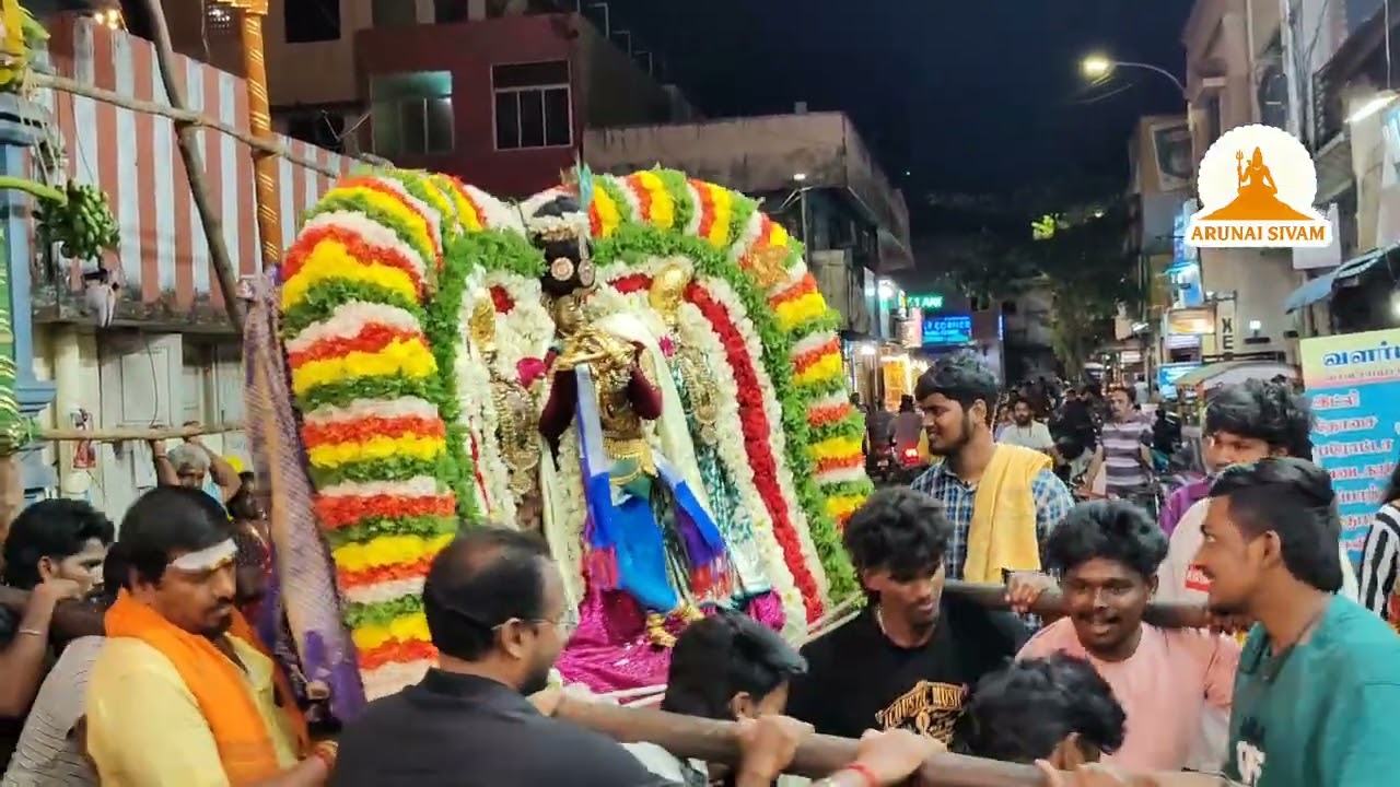 Саидапет Сенгунтакоттам Шри Шива Субраманьясвами Брахмотсавам 2026 Нагаваханам Магуди ойяли